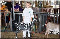 LCFAIR15-0828.jpg