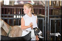 LCFAIR15-0829.jpg