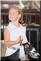 LCFAIR15-0830.jpg