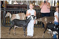 LCFAIR15-0831.jpg