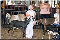 LCFAIR15-0832.jpg
