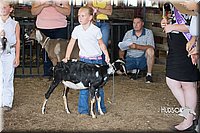 LCFAIR15-0835.jpg