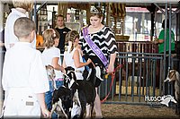 LCFAIR15-0836.jpg