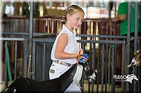 LCFAIR15-0837.jpg