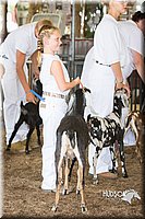 LCFAIR15-0839.jpg