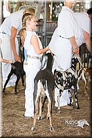 LCFAIR15-0840.jpg