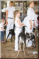 LCFAIR15-0841.jpg