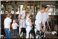 LCFAIR15-0842.jpg