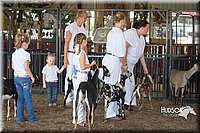 LCFAIR15-0843.jpg