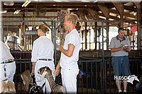 LCFAIR15-0845.jpg