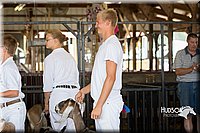 LCFAIR15-0846.jpg