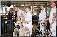 LCFAIR15-0847.jpg