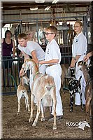 LCFAIR15-0848.jpg