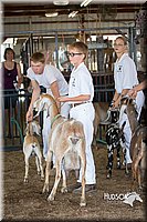 LCFAIR15-0849.jpg