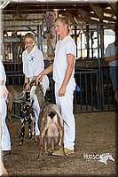 LCFAIR15-0850.jpg
