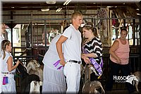 LCFAIR15-0856.jpg