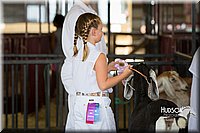 LCFAIR15-0857.jpg