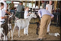 LCFAIR15-0959.jpg