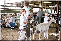 LCFAIR15-0960.jpg