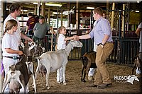 LCFAIR15-0961.jpg