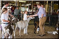 LCFAIR15-0962.jpg