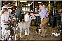LCFAIR15-0963.jpg