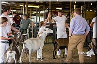 LCFAIR15-0964.jpg