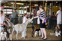 LCFAIR15-0965.jpg