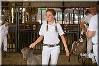 LCFAIR15-0966.jpg