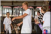 LCFAIR15-0967.jpg