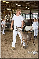 LCFAIR15-0968.jpg
