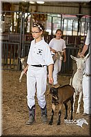 LCFAIR15-0969.jpg