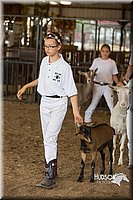 LCFAIR15-0970.jpg