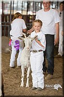 LCFAIR15-0971.jpg