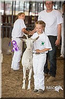 LCFAIR15-0972.jpg