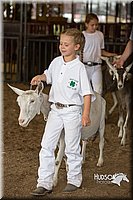 LCFAIR15-0973.jpg