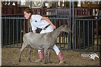 LCFAIR15-0981.jpg