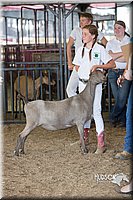 LCFAIR15-0982.jpg