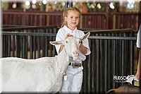 LCFAIR15-0983.jpg