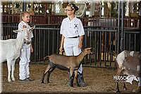 LCFAIR15-0984.jpg