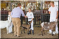 LCFAIR15-0988.jpg