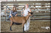 LCFAIR15-0990.jpg