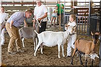 LCFAIR15-0992.jpg