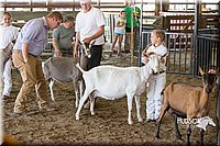 LCFAIR15-0993.jpg
