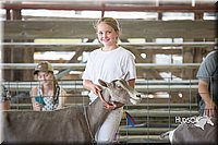 LCFAIR15-0994.jpg