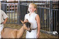 LCFAIR15-0995.jpg