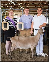 LCFAIR15-0997.jpg