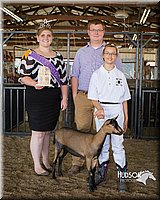 LCFAIR15-0999.jpg