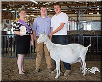 LCFAIR15-1000.jpg