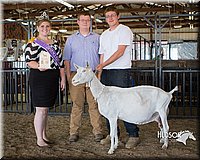 LCFAIR15-1001.jpg